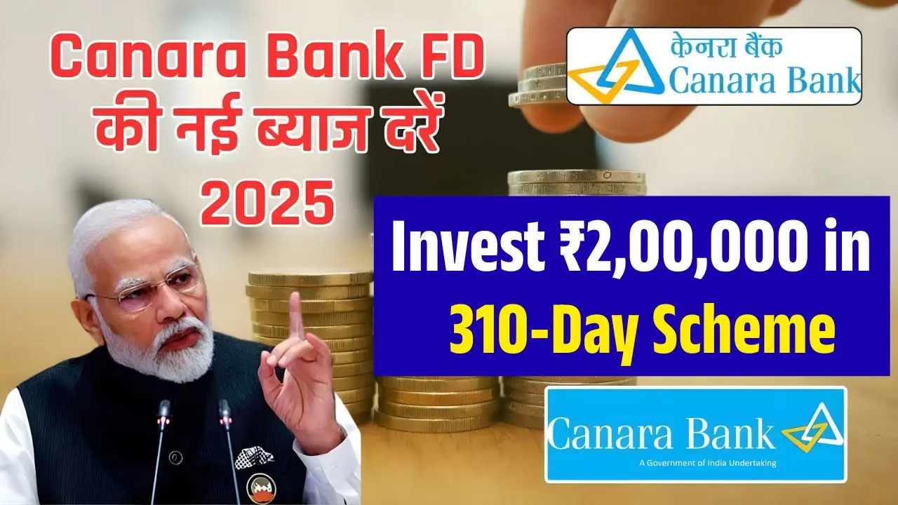Invest ₹200000 in 310 Day 1